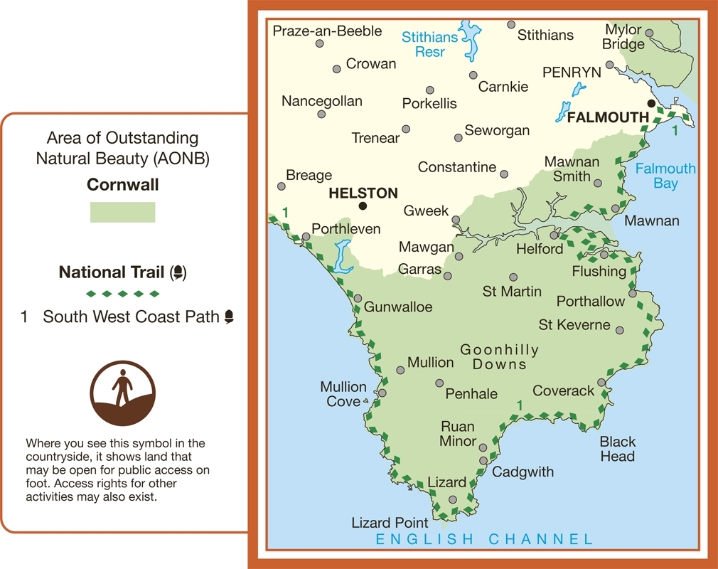 MAP,O/S The Lizard 2.5in (with Download) [Splittable]