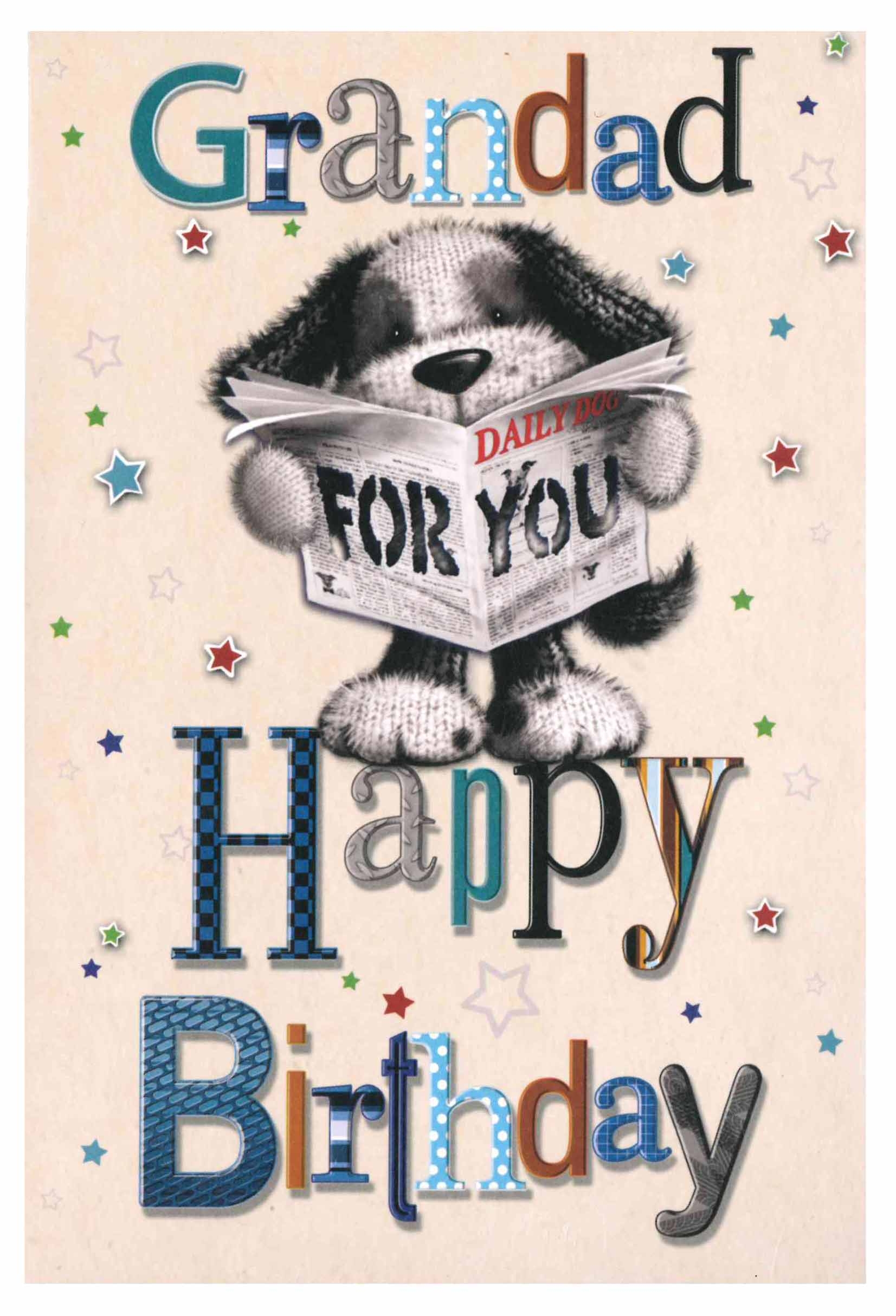 BIRTHDAY CARDS,Grandad Dog Reading Newspaper