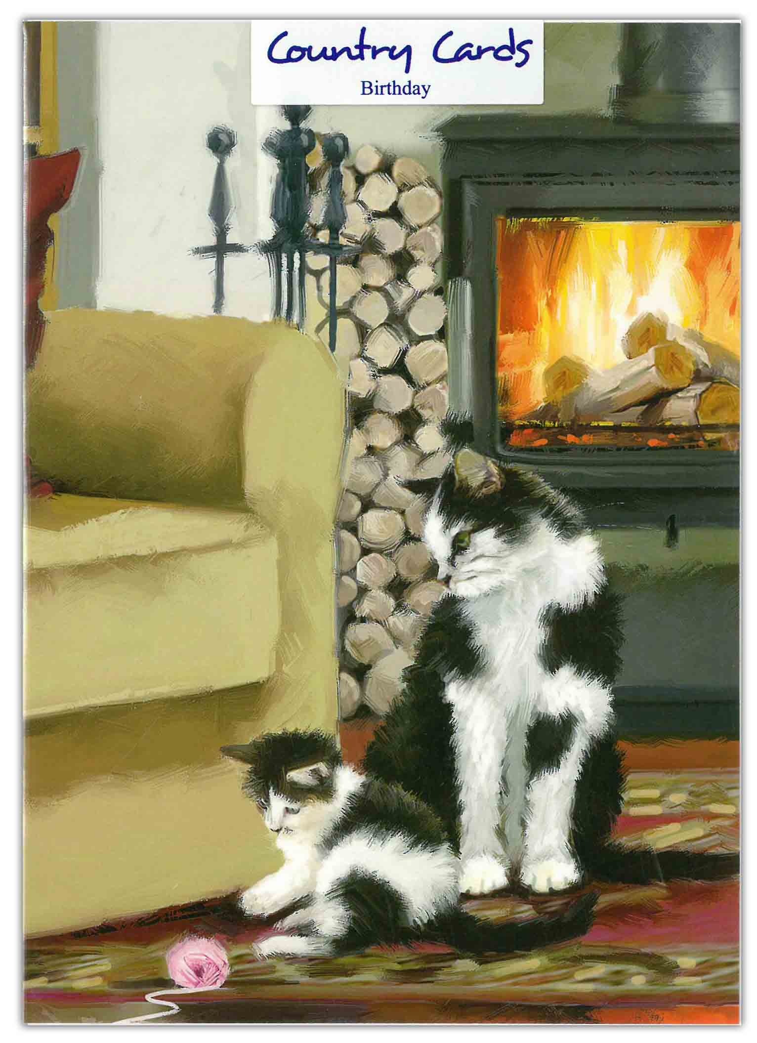 BIRTHDAY CARDS,6`s Cat with Kitten, Lounge Fire