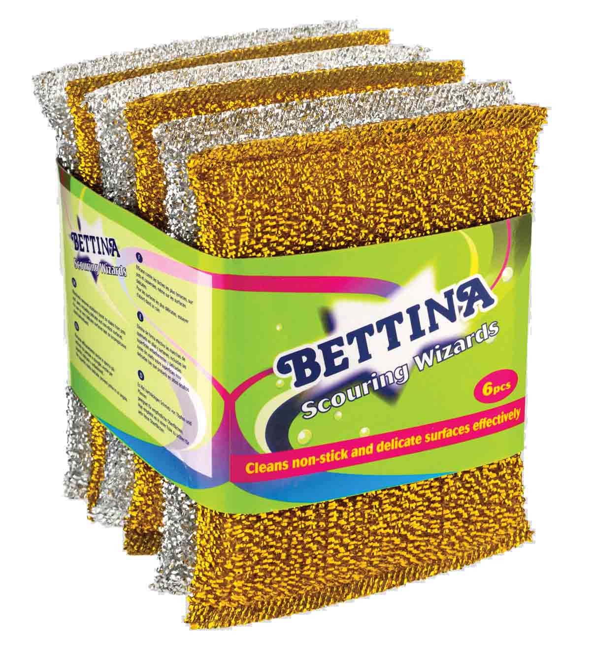 SCOURING WIZARDS 5pc Silver & Gold Asst. B3935 [Splittable]