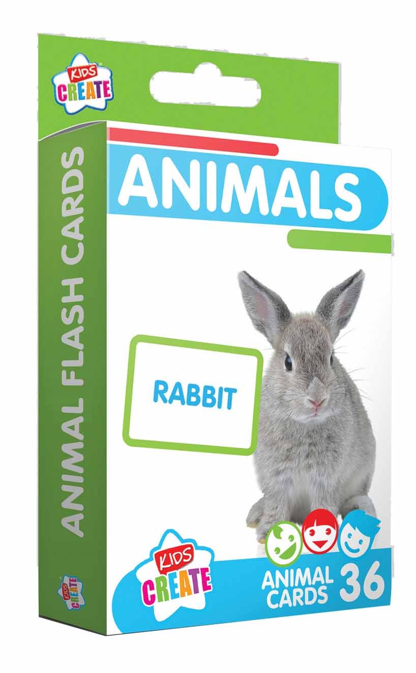 LEARNING FLASH CARDS, 6 Assorted [Packs Only]