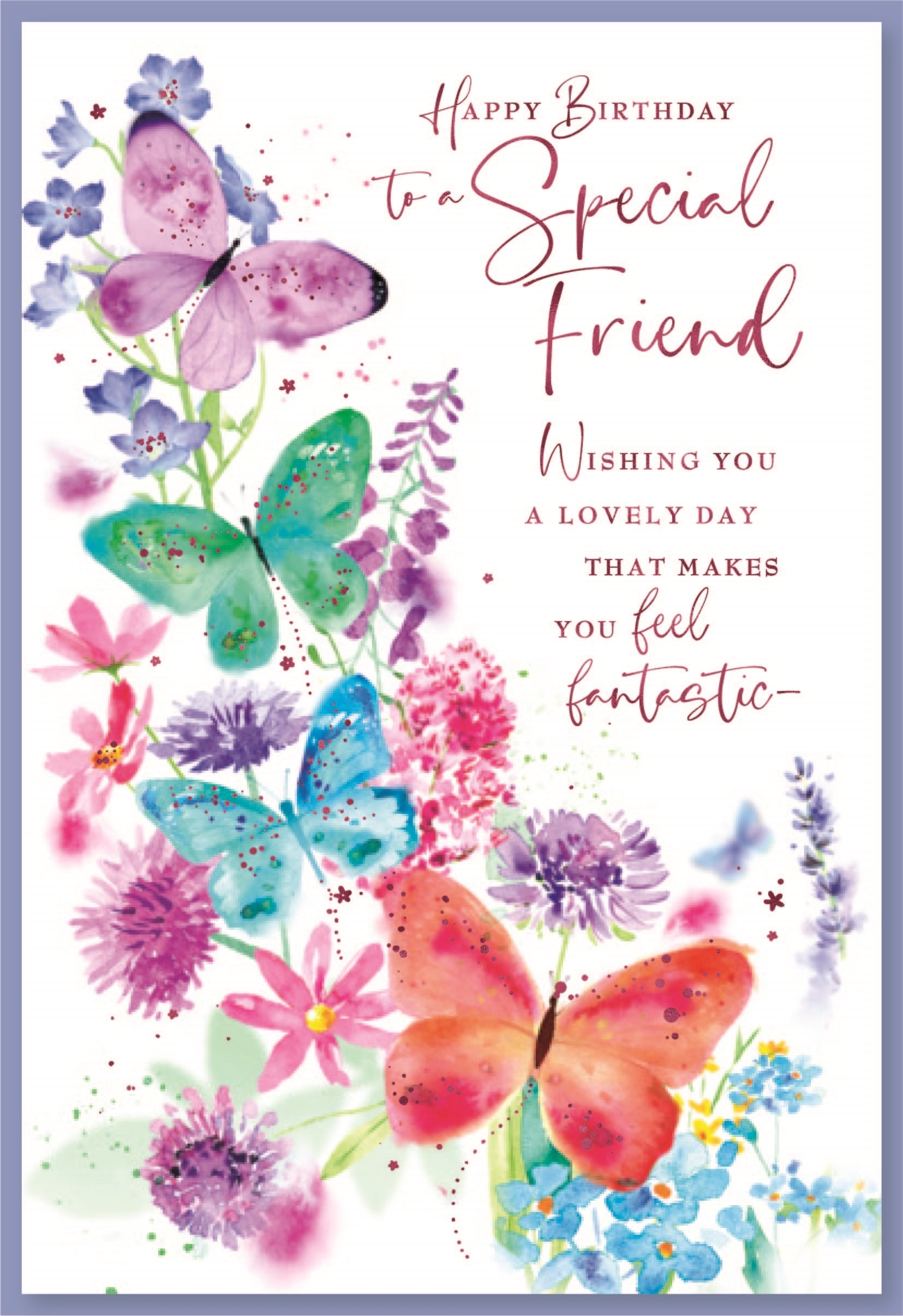 SPECIAL FRIEND CARDS,6`s Butterflies & Flowers