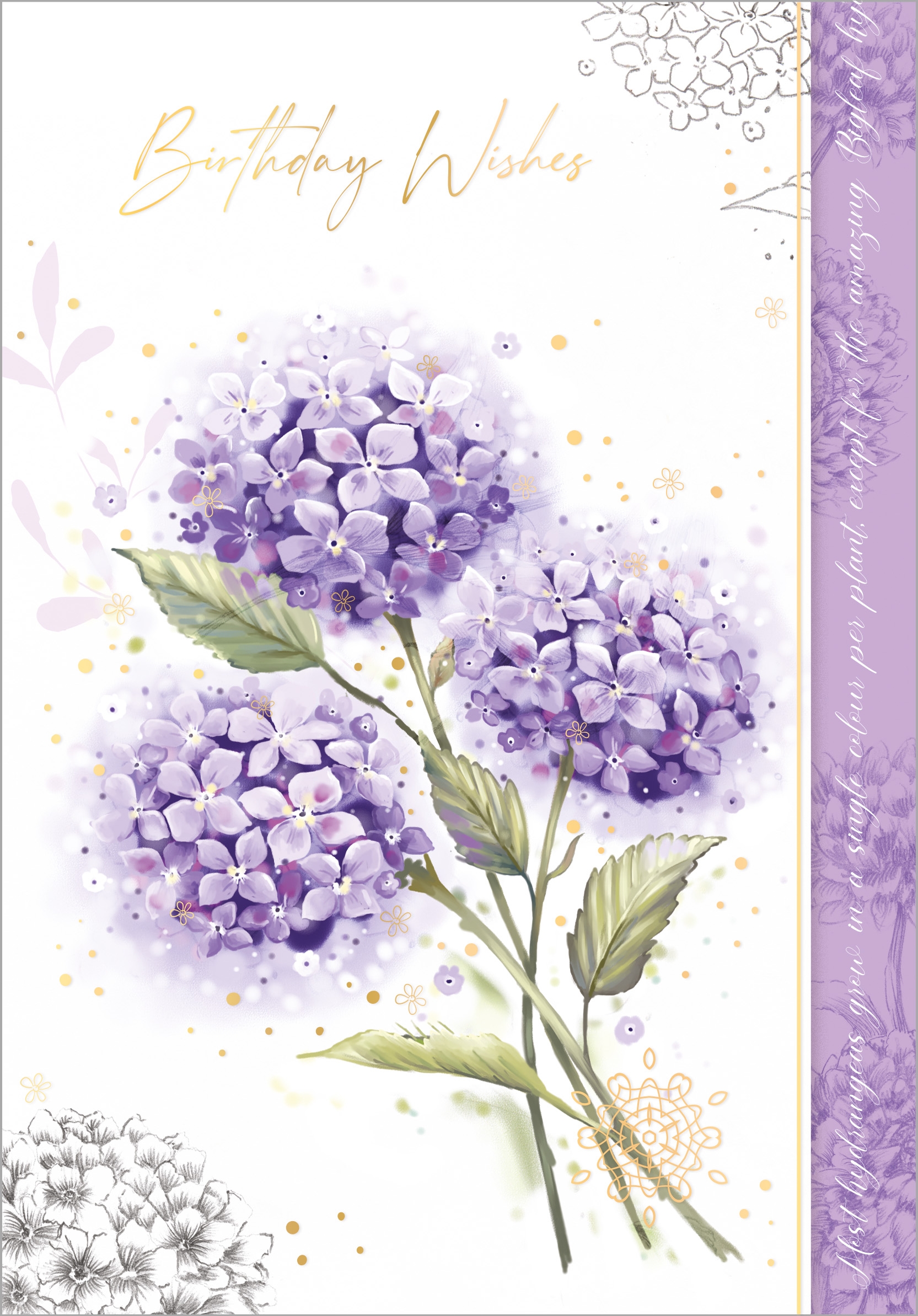 BIRTHDAY CARDS,6`s Hydrangea