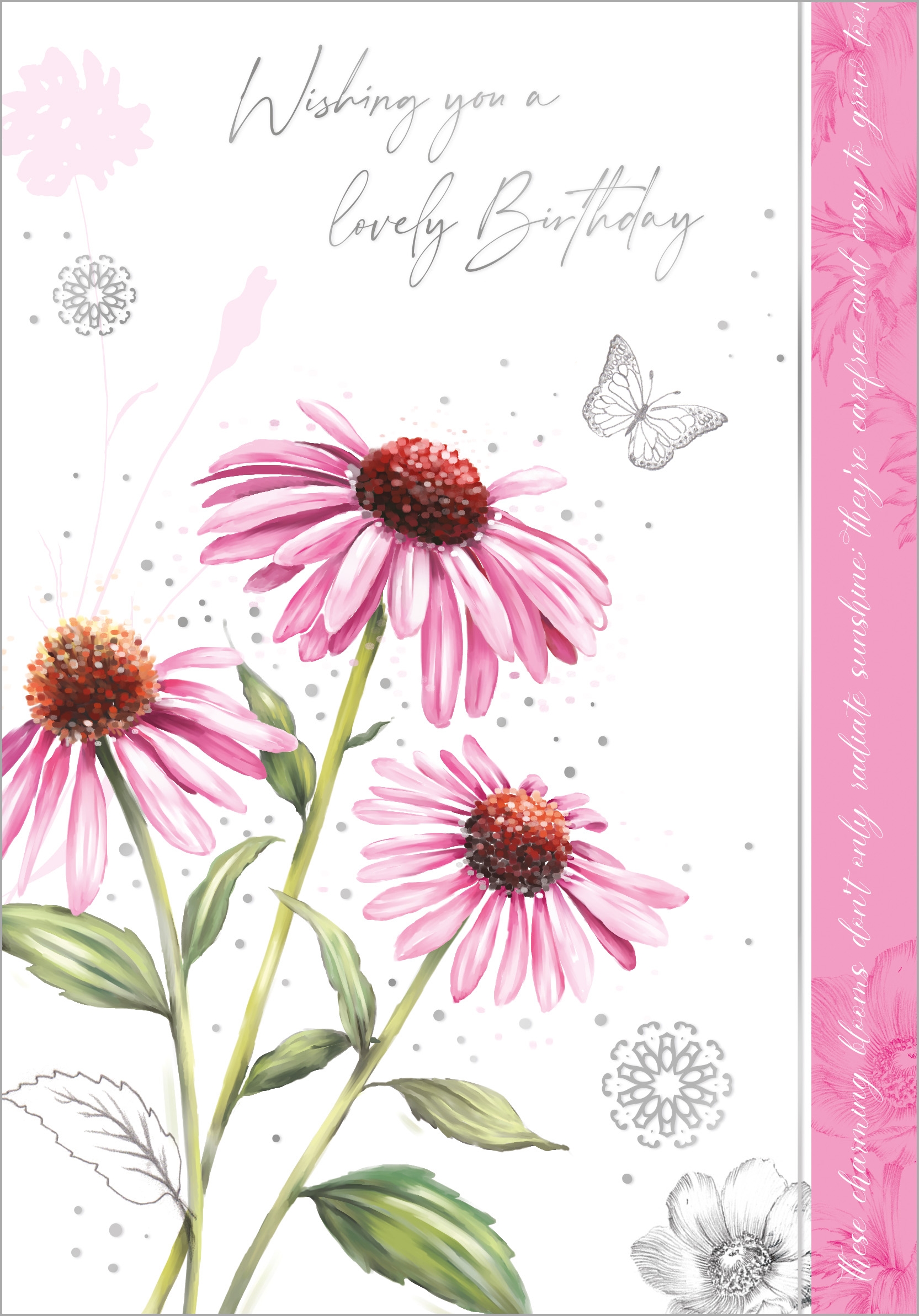 BIRTHDAY CARDS,6`s Purple Coneflower