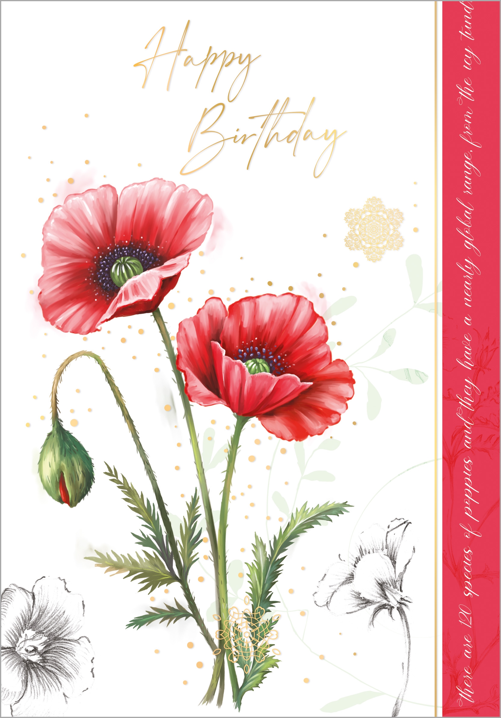 BIRTHDAY CARDS,6`s Oriental Poppy