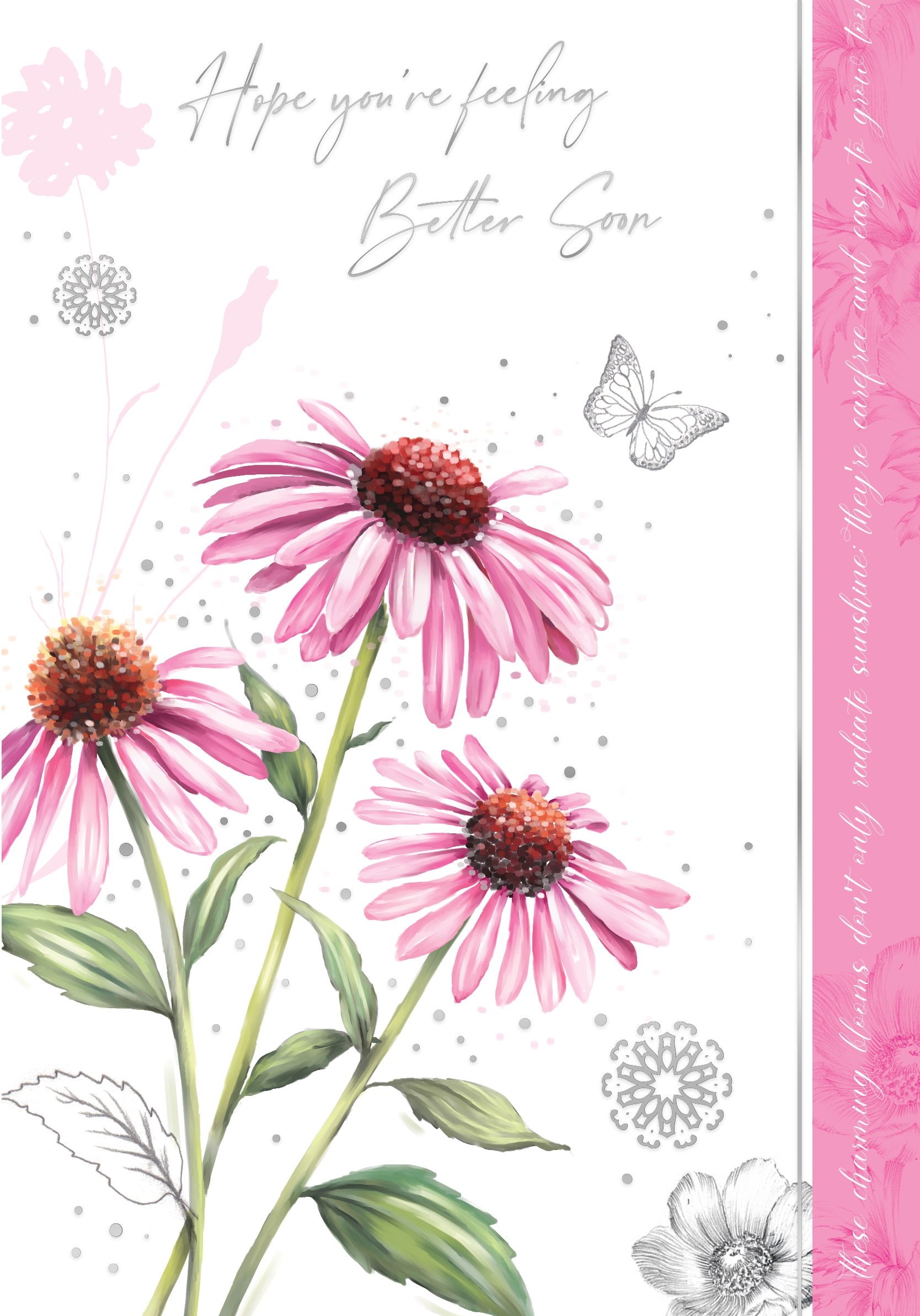 GET WELL CARDS,6`s Purple Coneflower