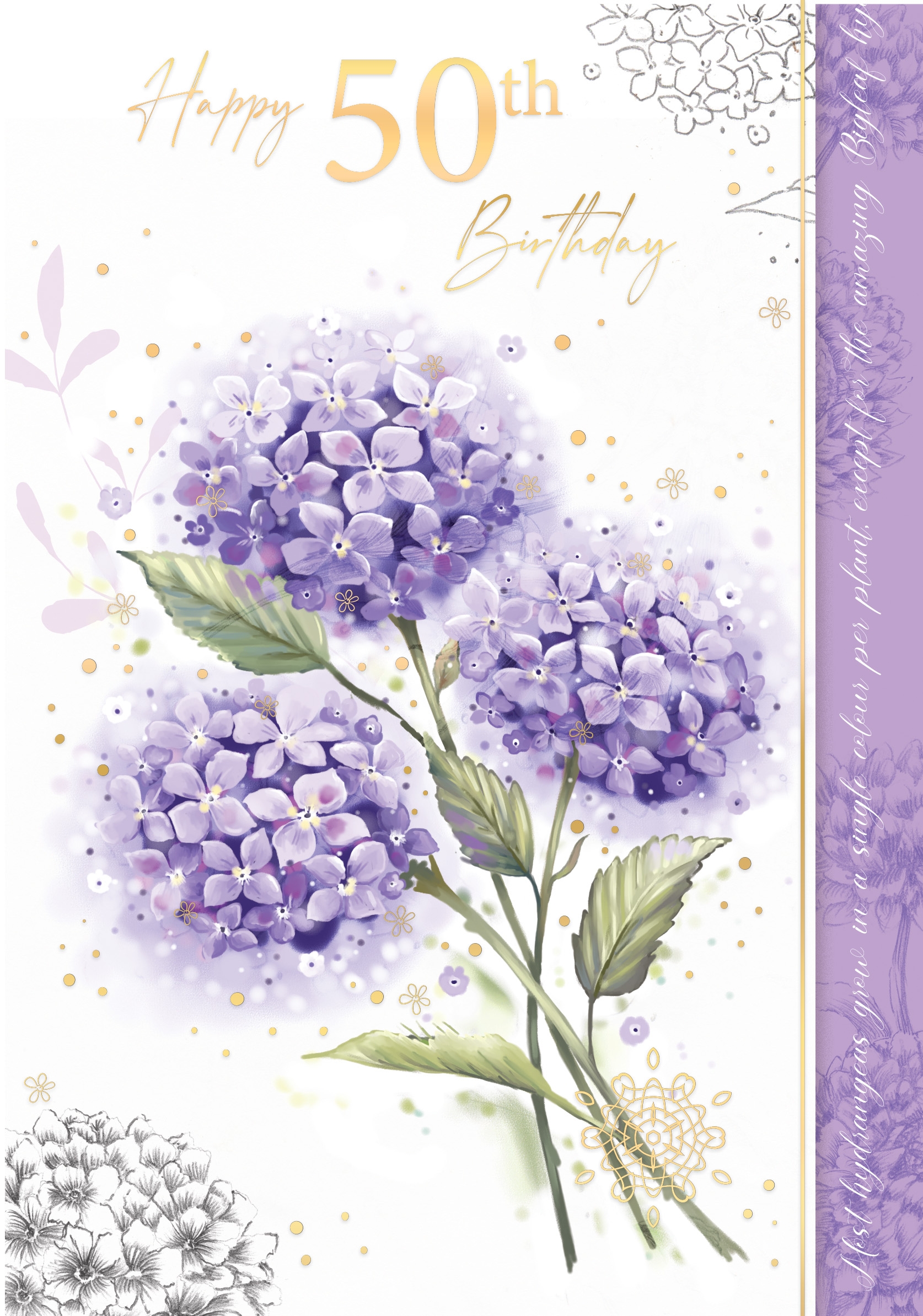 AGE 50 CARDS,Female 6`s Hydrangea
