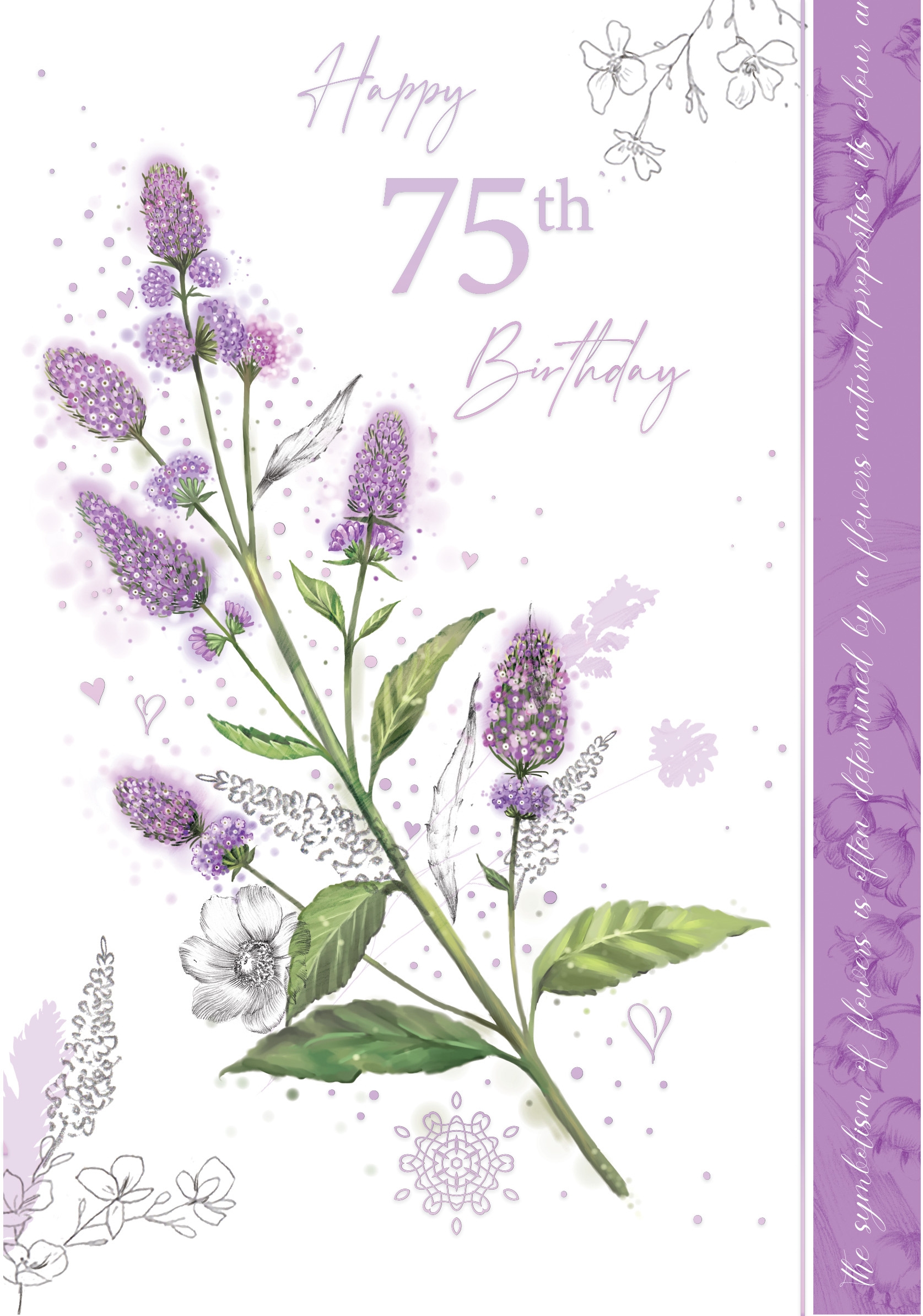 AGE 75 CARDS,Female 6`s Rose Spirea