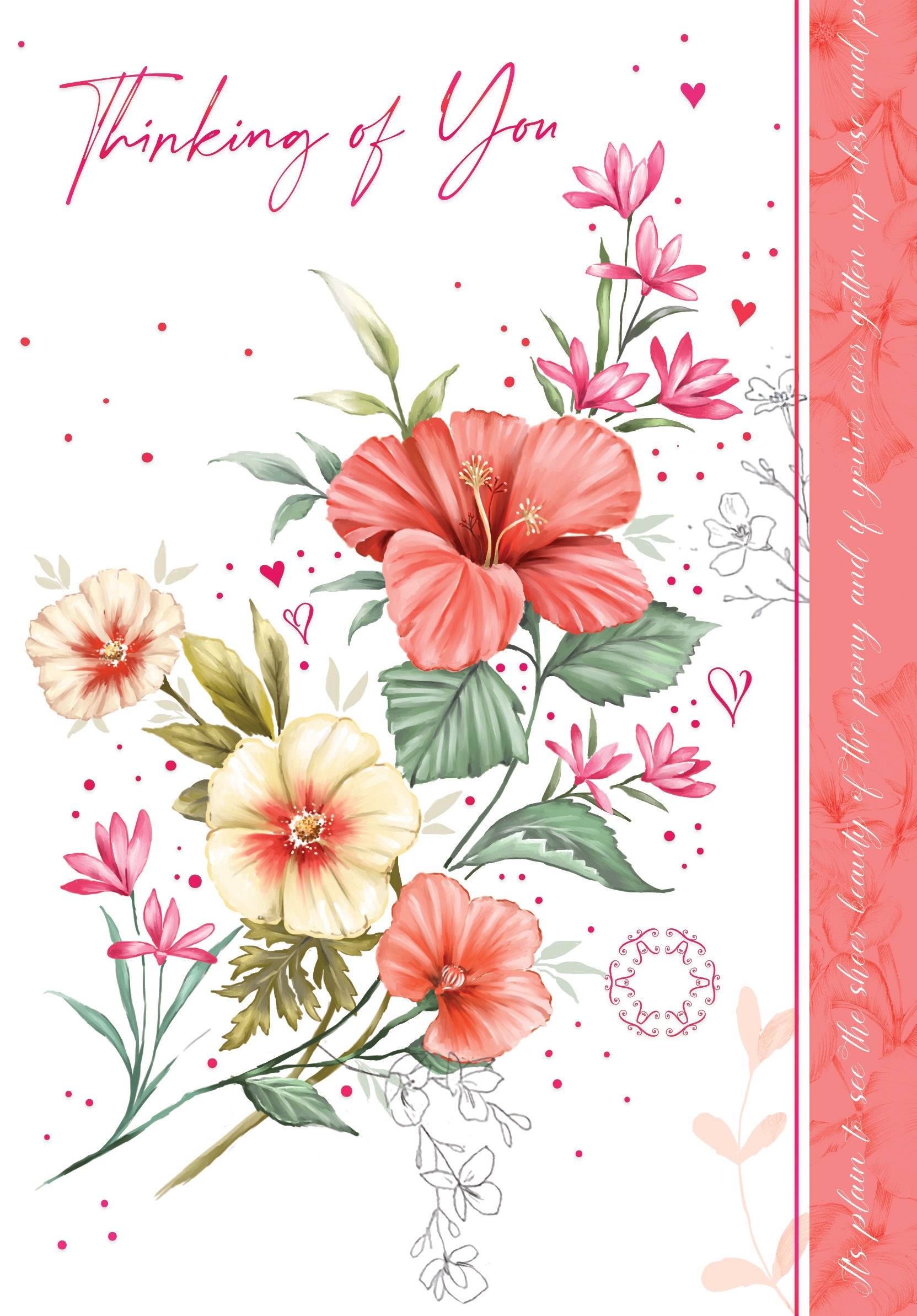 THINKING OF YOU CARDS,6`s Chinese Hibiscus