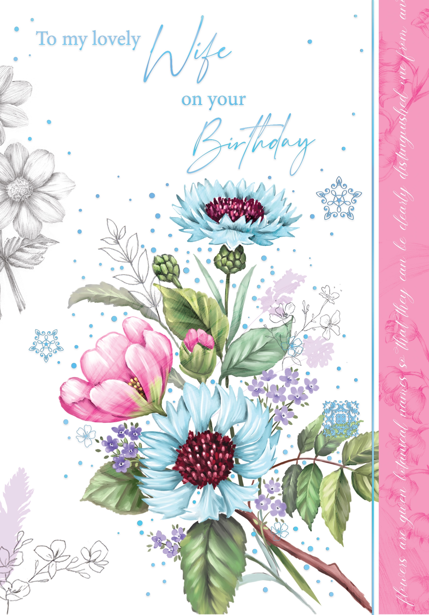 BIRTHDAY CARDS,Wife 6`s Cornflower