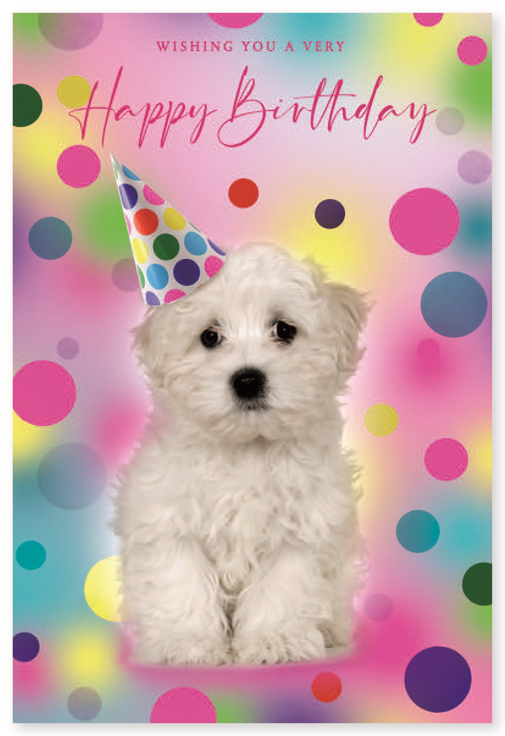 BIRTHDAY CARDS,72`s Wags & Whiskers