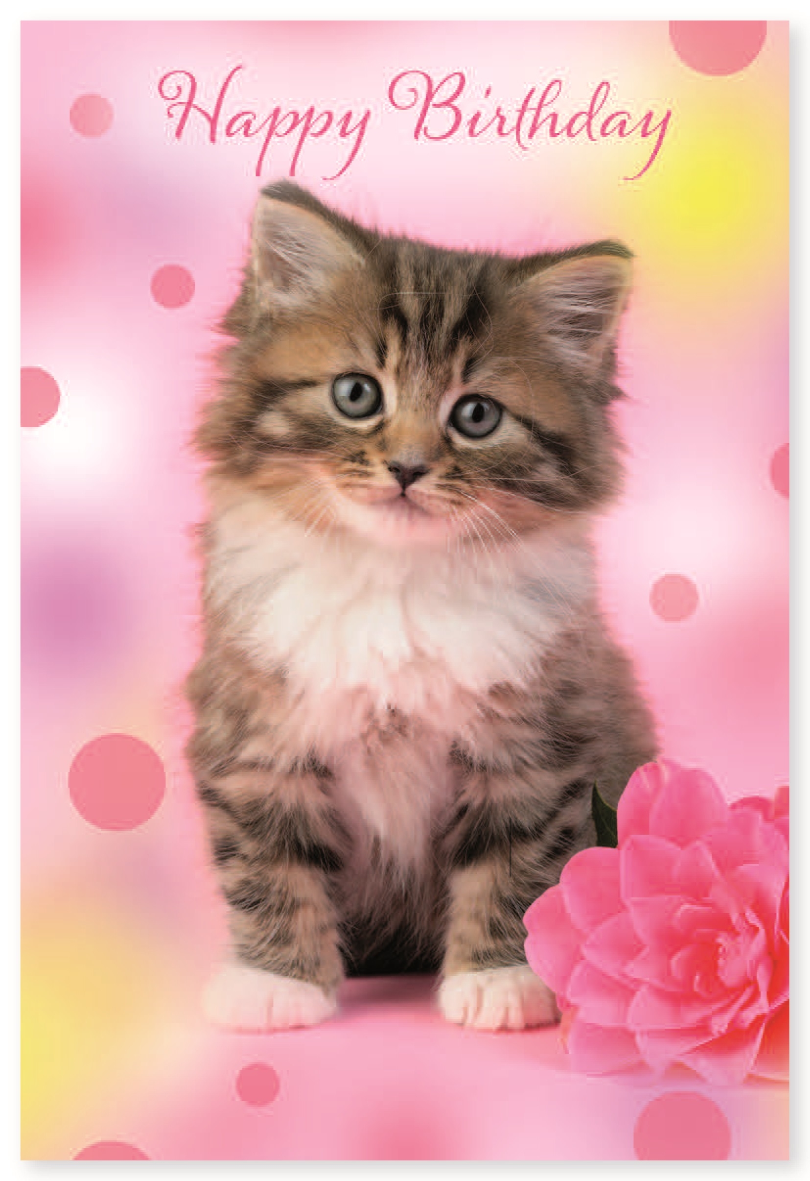 BIRTHDAY CARDS,72`s Wags & Whiskers