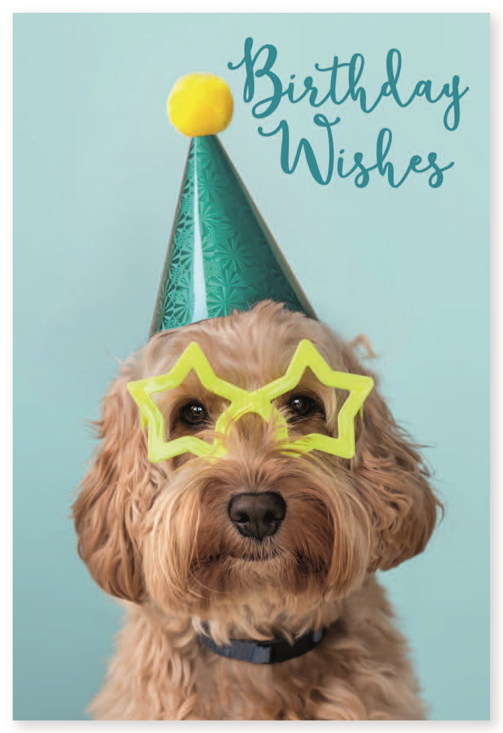 BIRTHDAY CARDS,72`s Wags & Whiskers