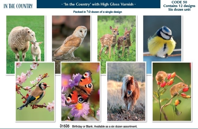 BIRTHDAY CARDS,72`s In The Country