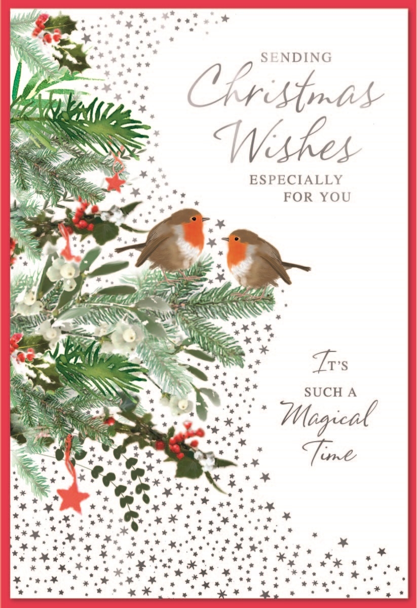 XMAS CARDS,Open 6`s Robins on Branch