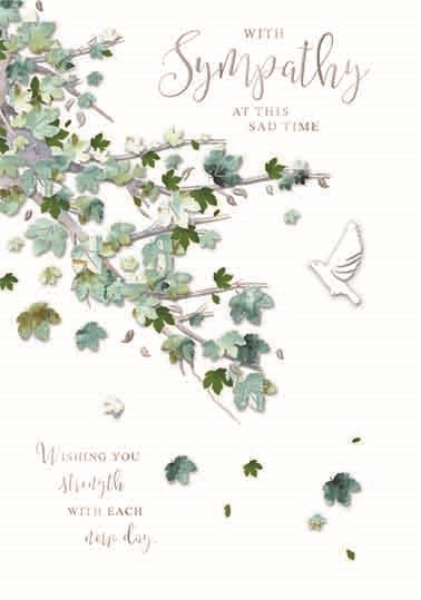 SYMPATHY CARDS,6`s Foliage & Dove