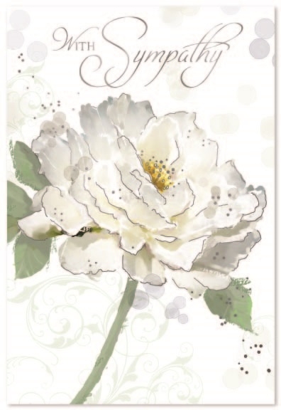 SYMPATHY CARDS,6`s White Rose