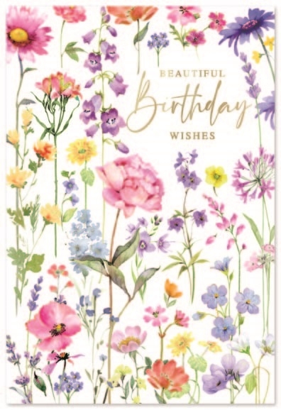 BIRTHDAY CARDS,6`s Wild Flowers