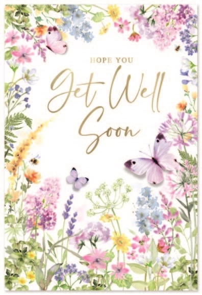 GET WELL CARDS,6`s Wild Flowers & Butterflies