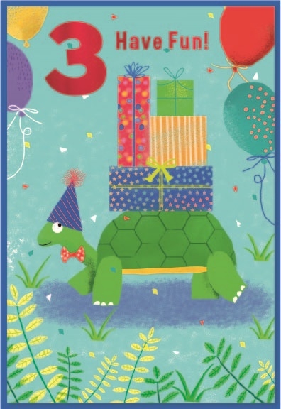 AGE 3 CARDS,Male 6`s Tortoise & Presents