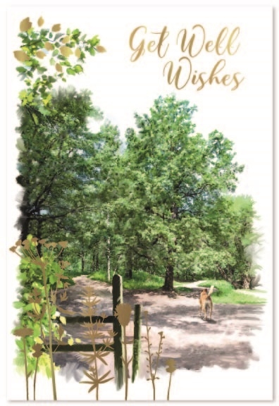 GET WELL CARDS,6`s Forest Walk
