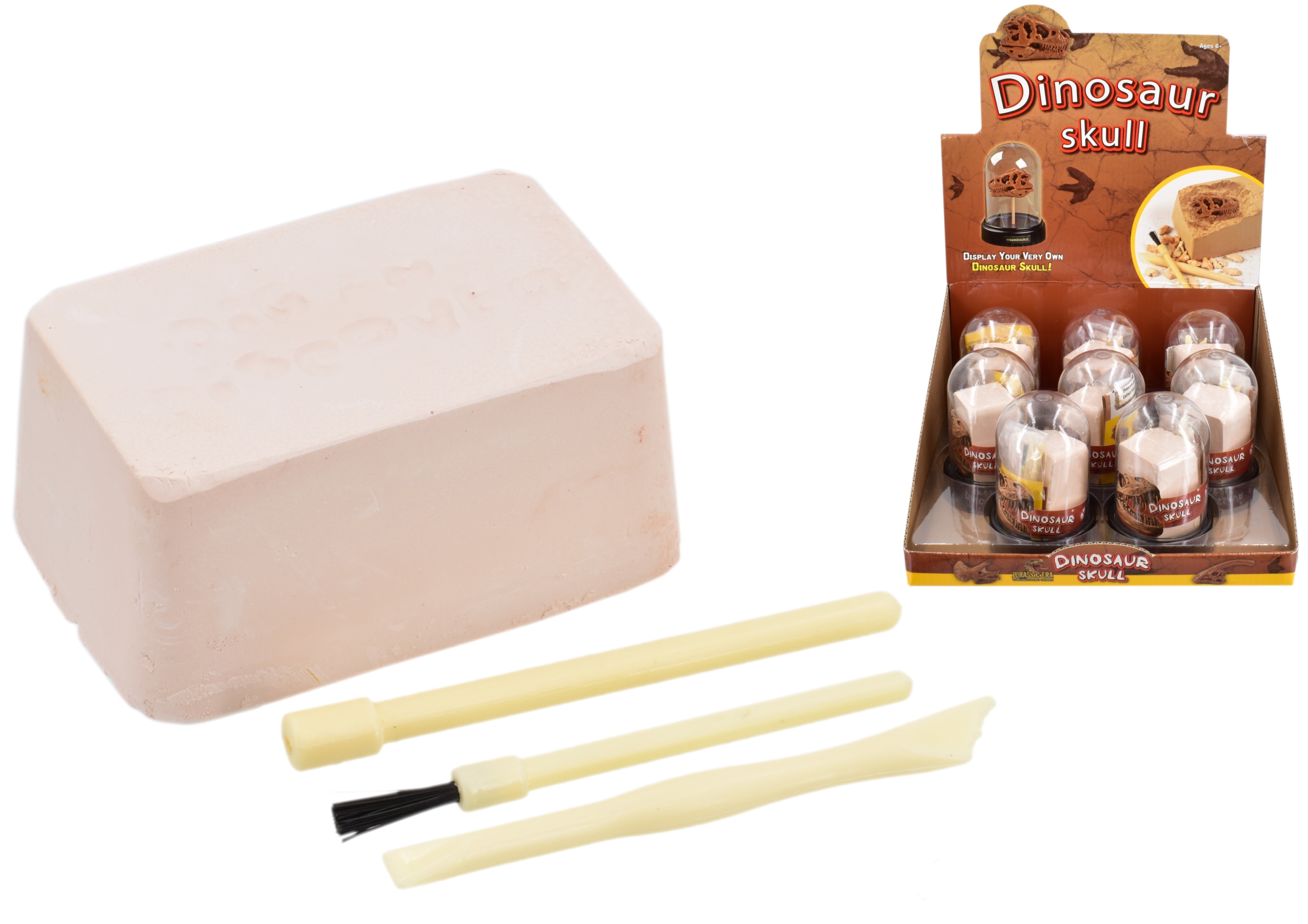 DIG`EM DINOSAUR SKULL Excavate CDU [Packs Only]