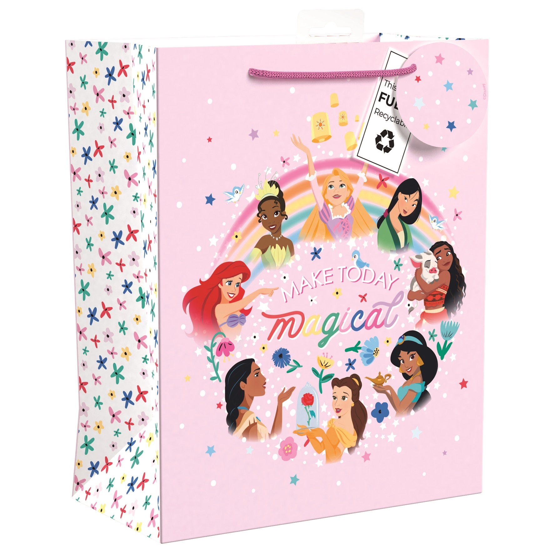 GIFT BAG,Disney Princess (Large) [Packs Only]