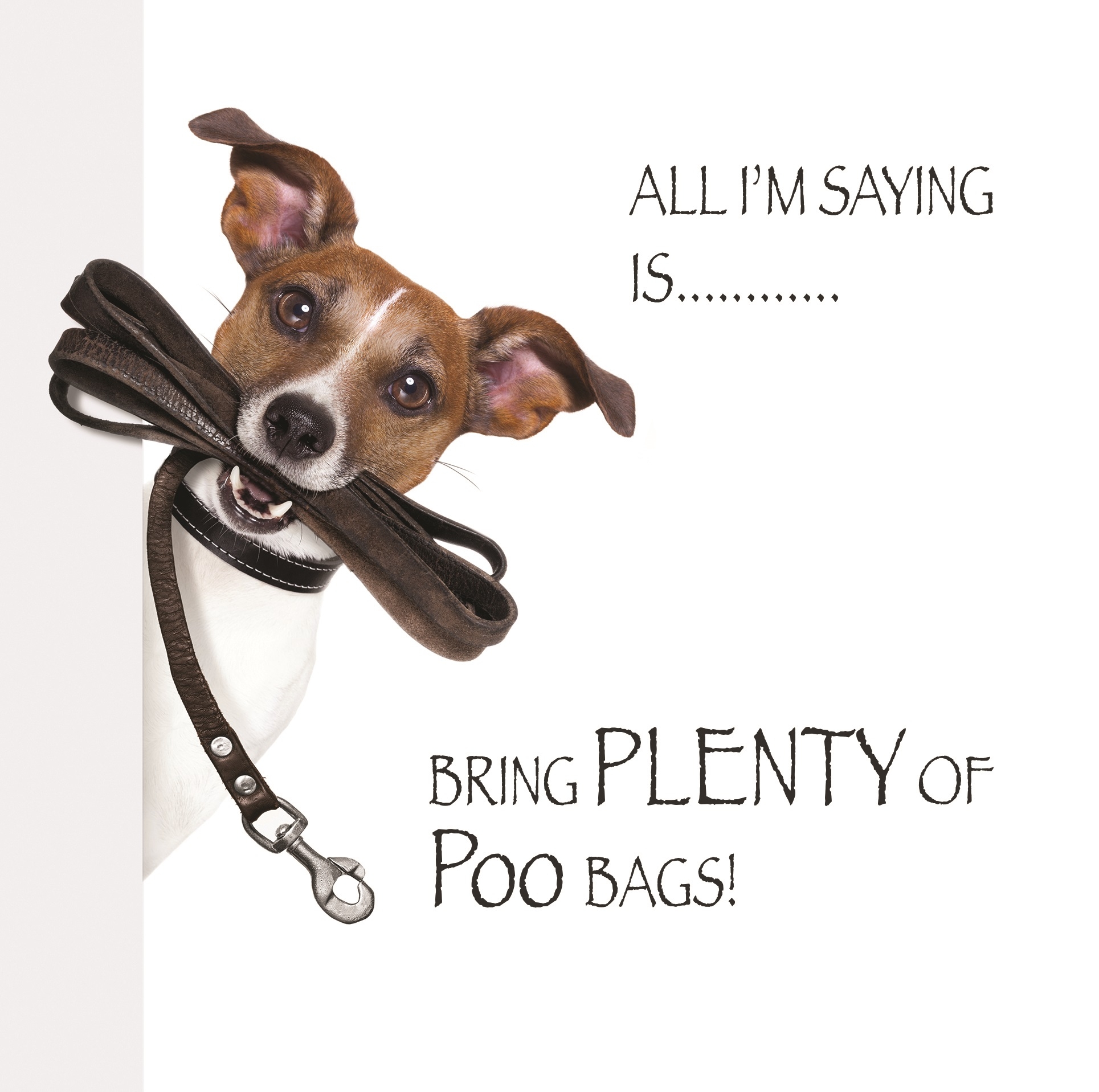 BLANK CARDS,Humour 6`s Funimals Poo Bags