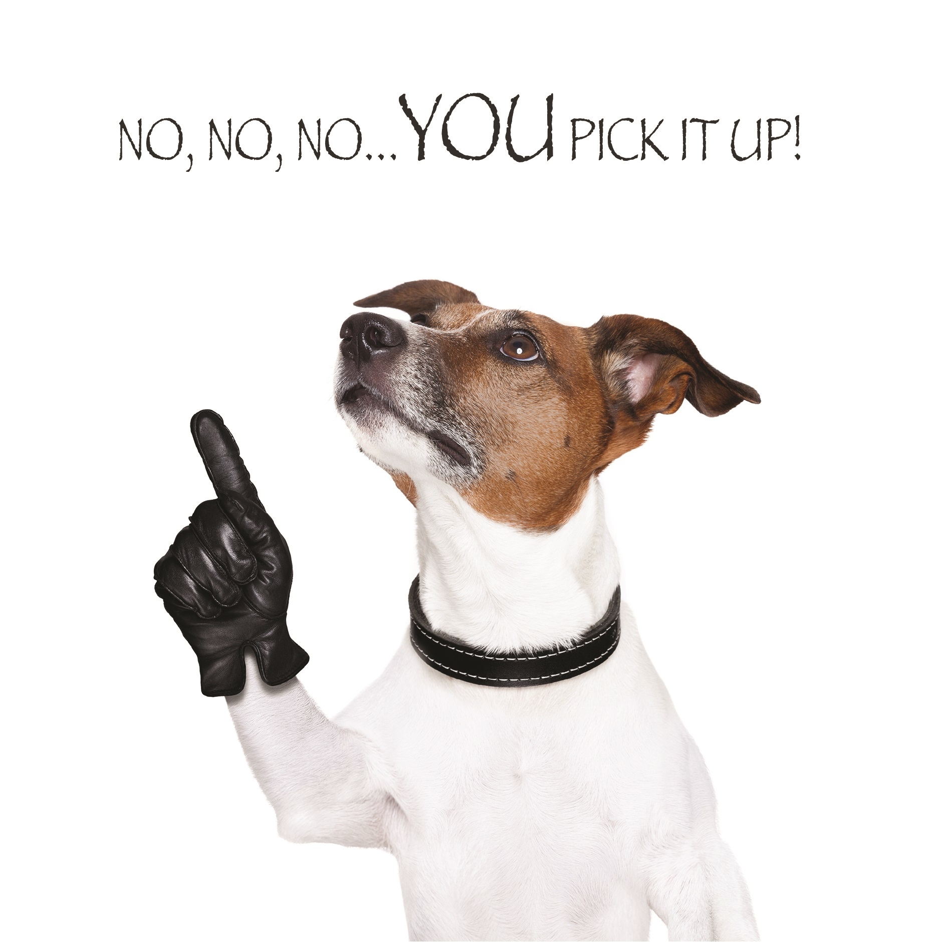 BLANK CARDS,Humour 6`s Funimals You Pick It Up