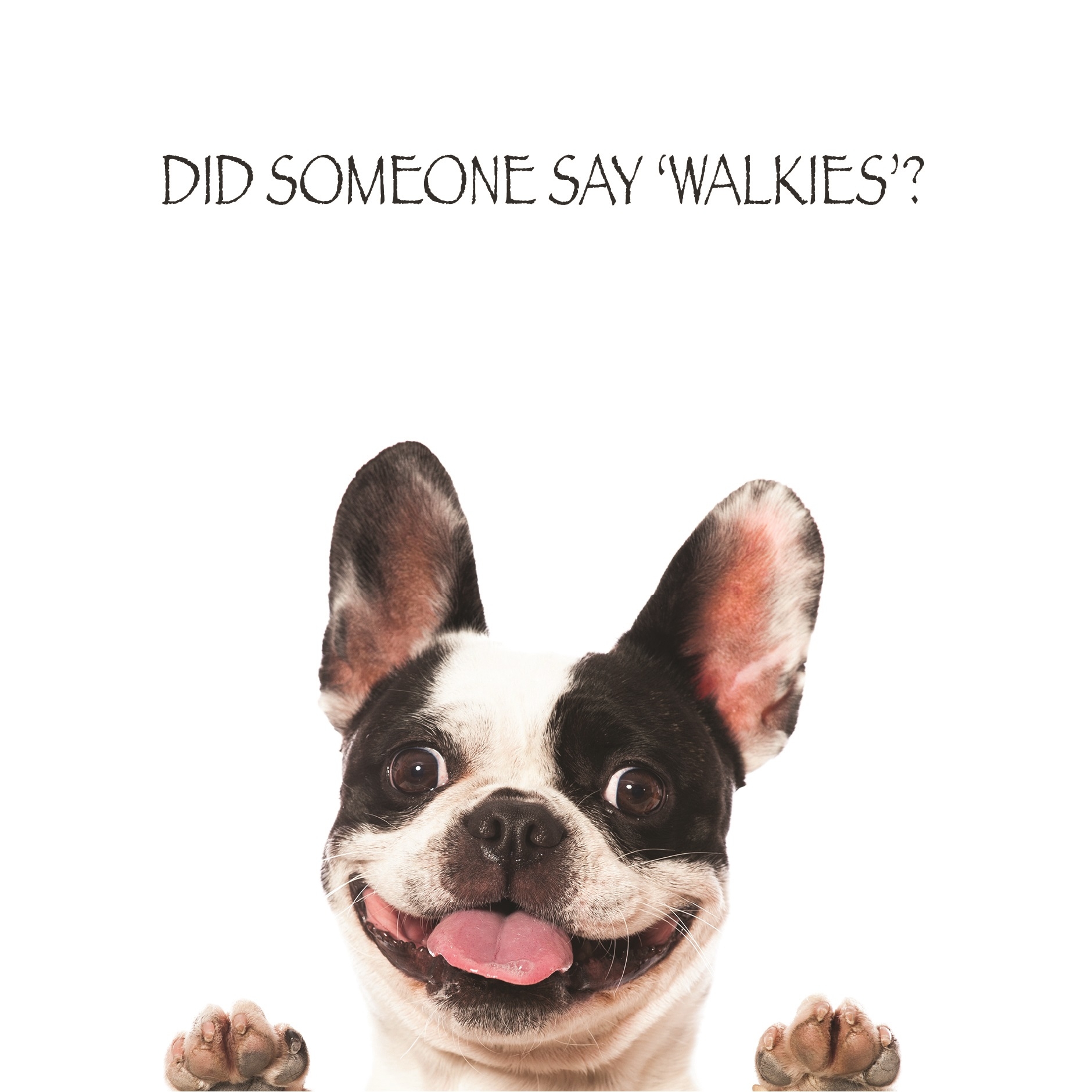 BLANK CARDS,Humour 6`s Funimals Walkies