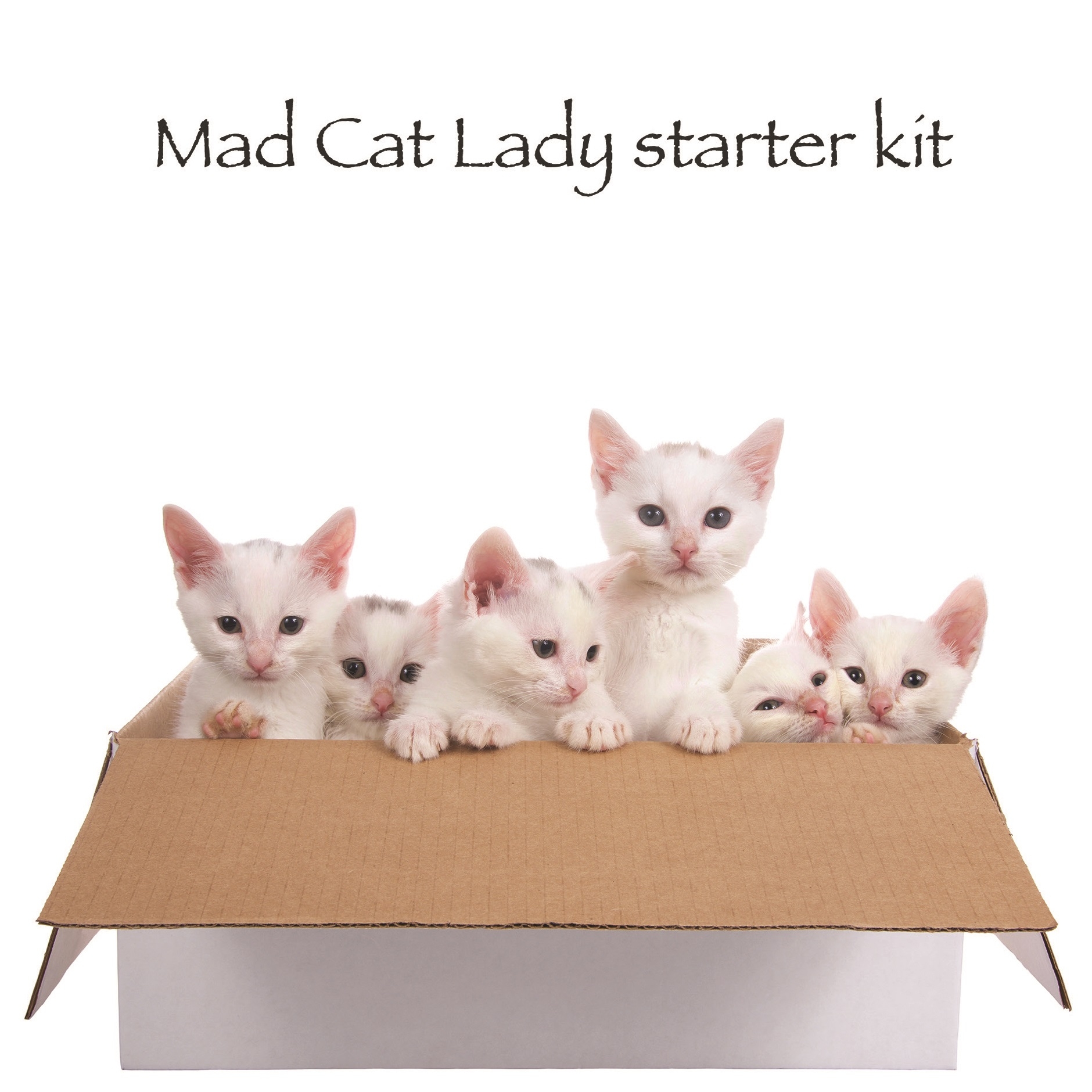 BLANK CARDS,Humour 6`s FunimalsMad Cat Lady