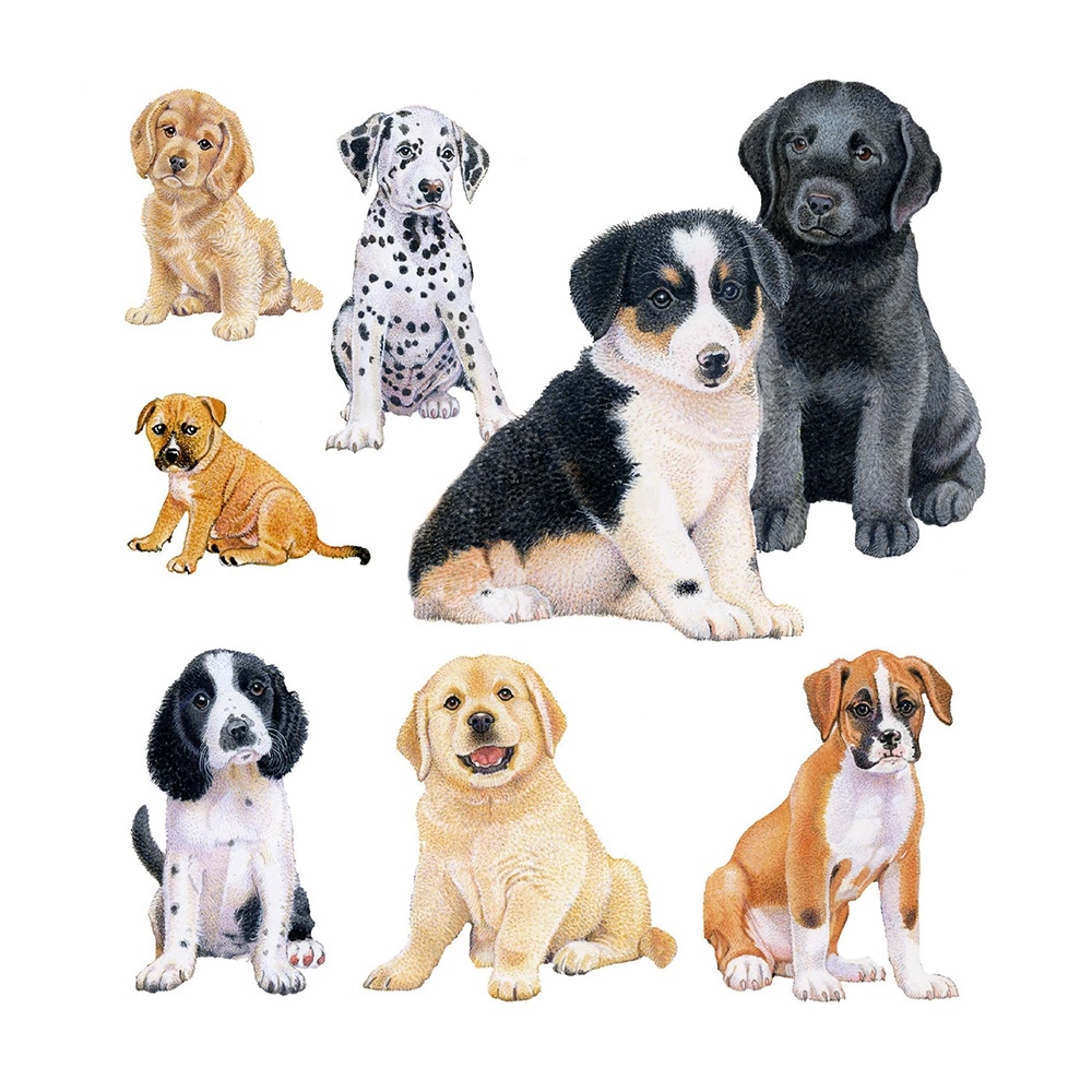 BLANK CARDS,6`s Richard Partis Puppies