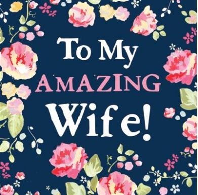 BIRTHDAY CARDS,Julie & Dodsworth, Amazing Wife 6`s