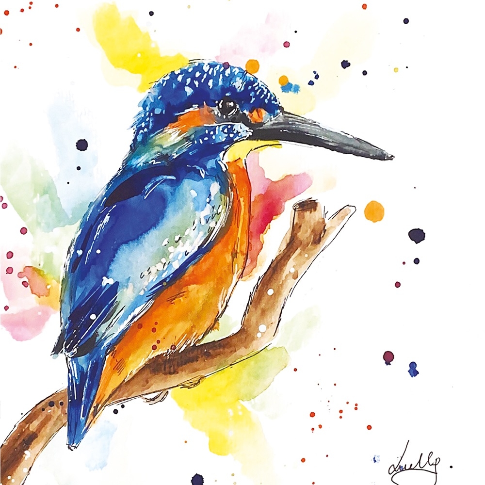 BLANK CARDS,6`s Love Lilly Kingfisher