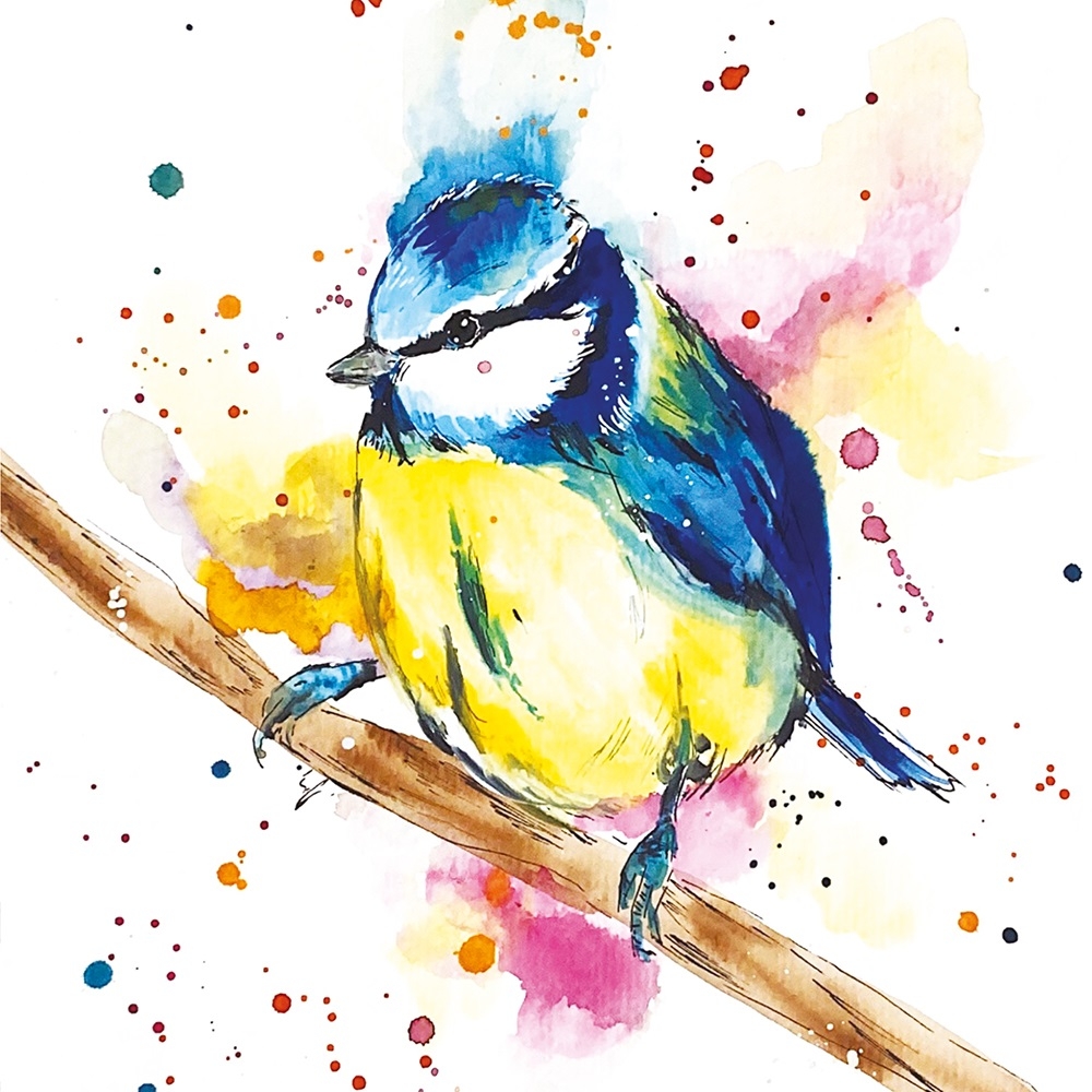 BLANK CARDS,6`s Love Lilly Blue Tit