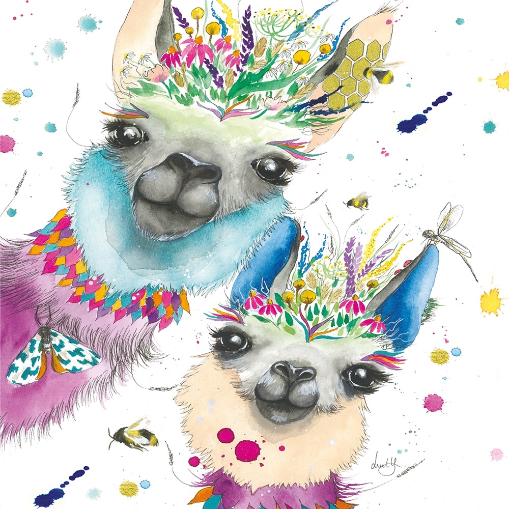 BLANK CARDS,6`s Love Lilly Llama