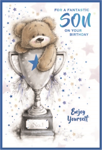 BIRTHDAY CARDS,Son 6`s Teddy in Trophy