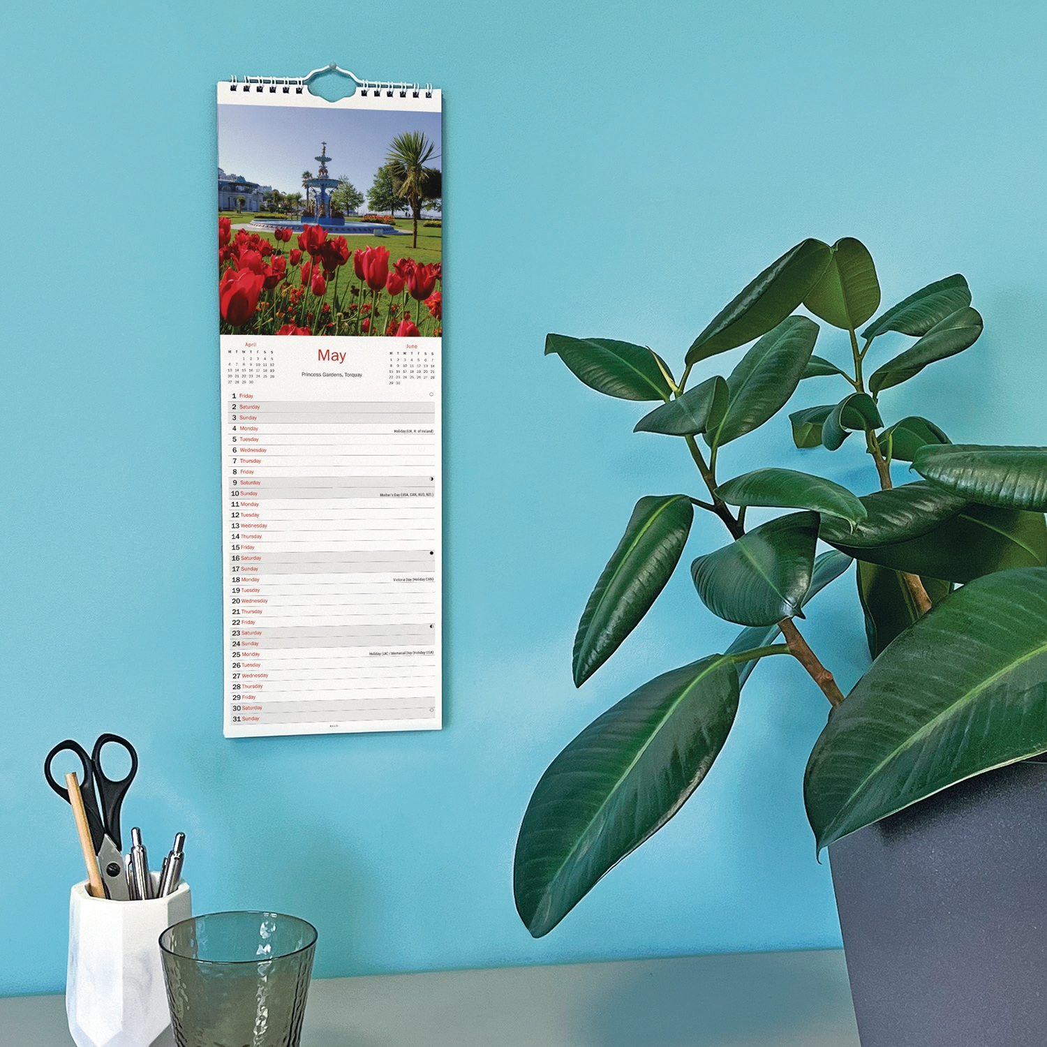 CALENDAR,Slim,Devon [Packs Only]