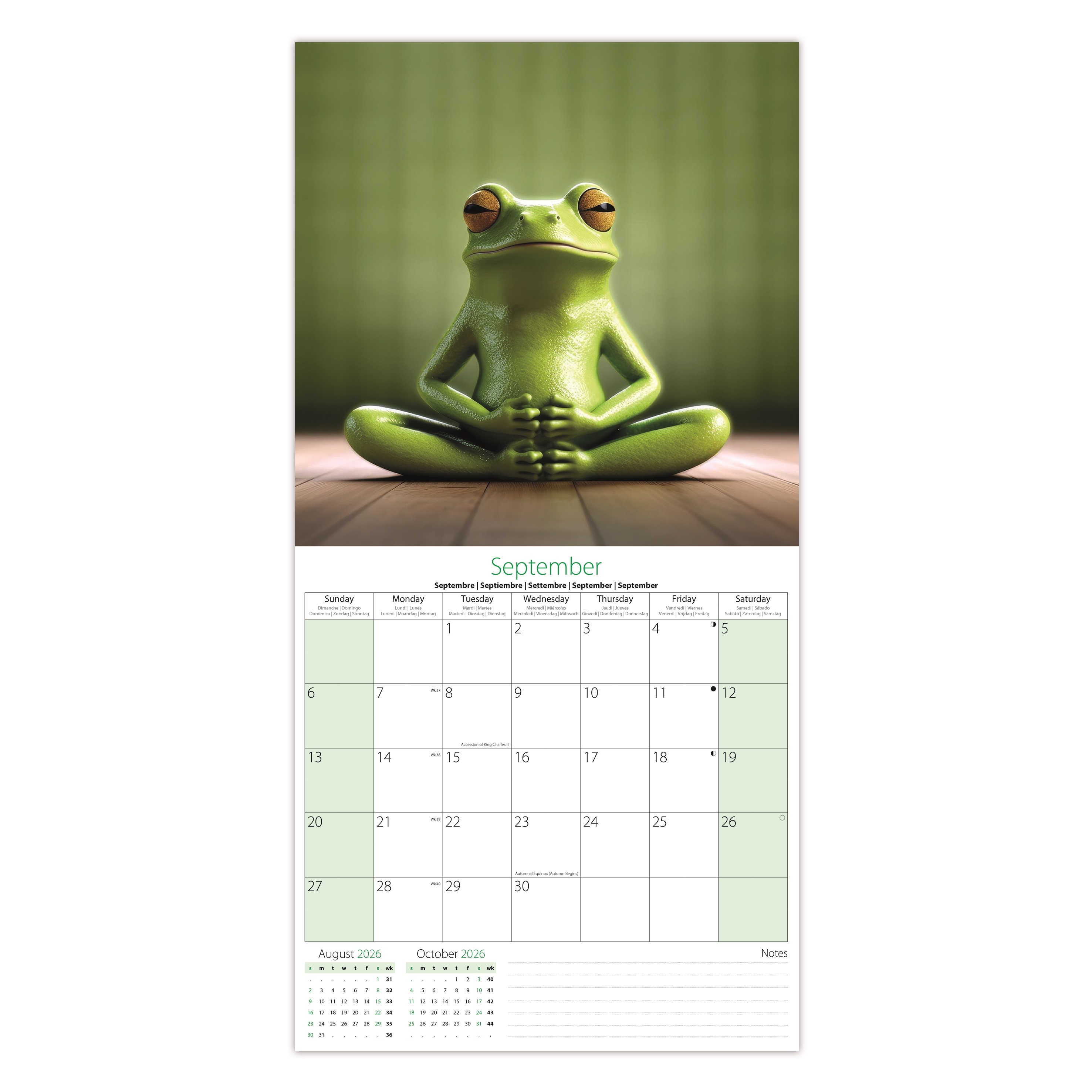 CALENDAR,Square,Yoga Animals Photographic 2026 [Packs Only]