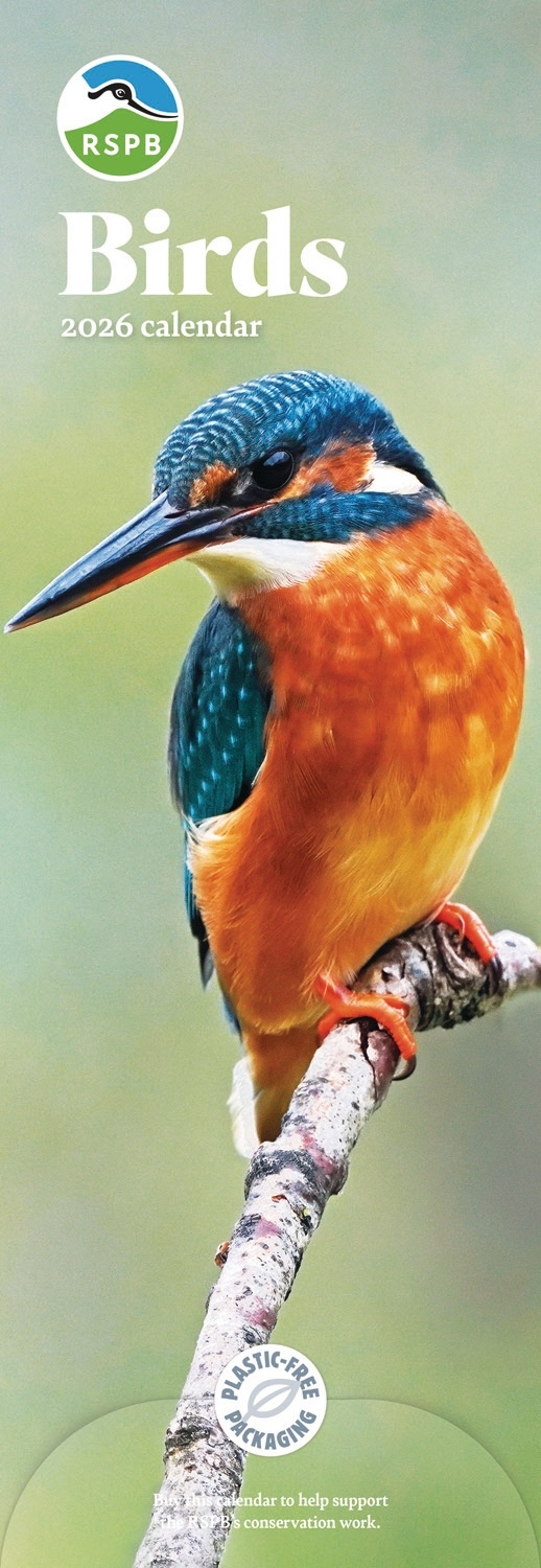CALENDAR,Slim,Birds (RSPB) [Packs Only]