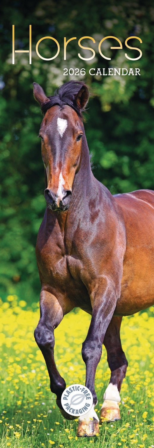 CALENDAR,Slim,Horses [Packs Only]