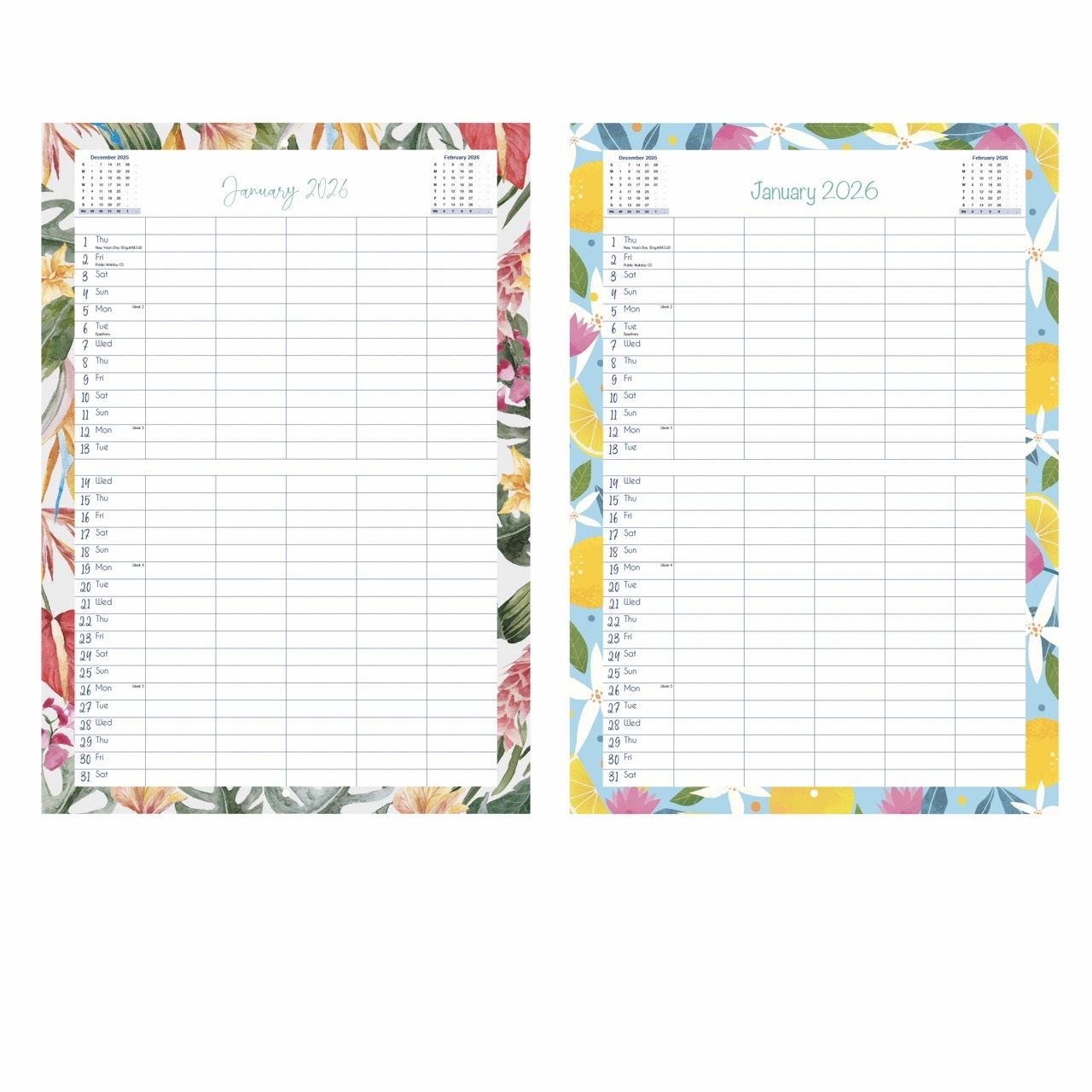 CALENDAR,Family Home Planner Month to View,A3,2 Asst. 2026 [Splittable]