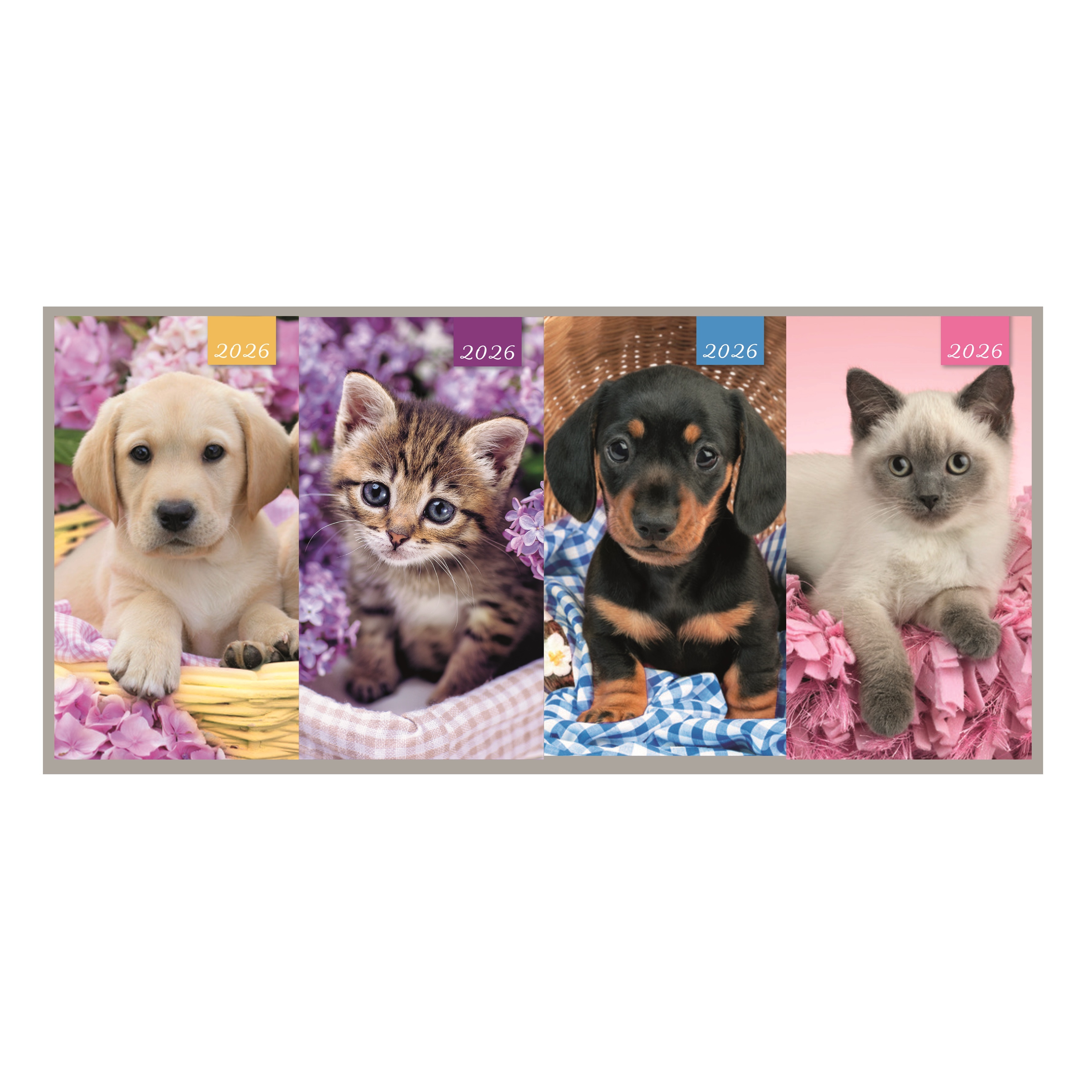 DIARY,Slim,Cats & Dogs Asst Two Weeks to View,2026 CDU [Packs Only]