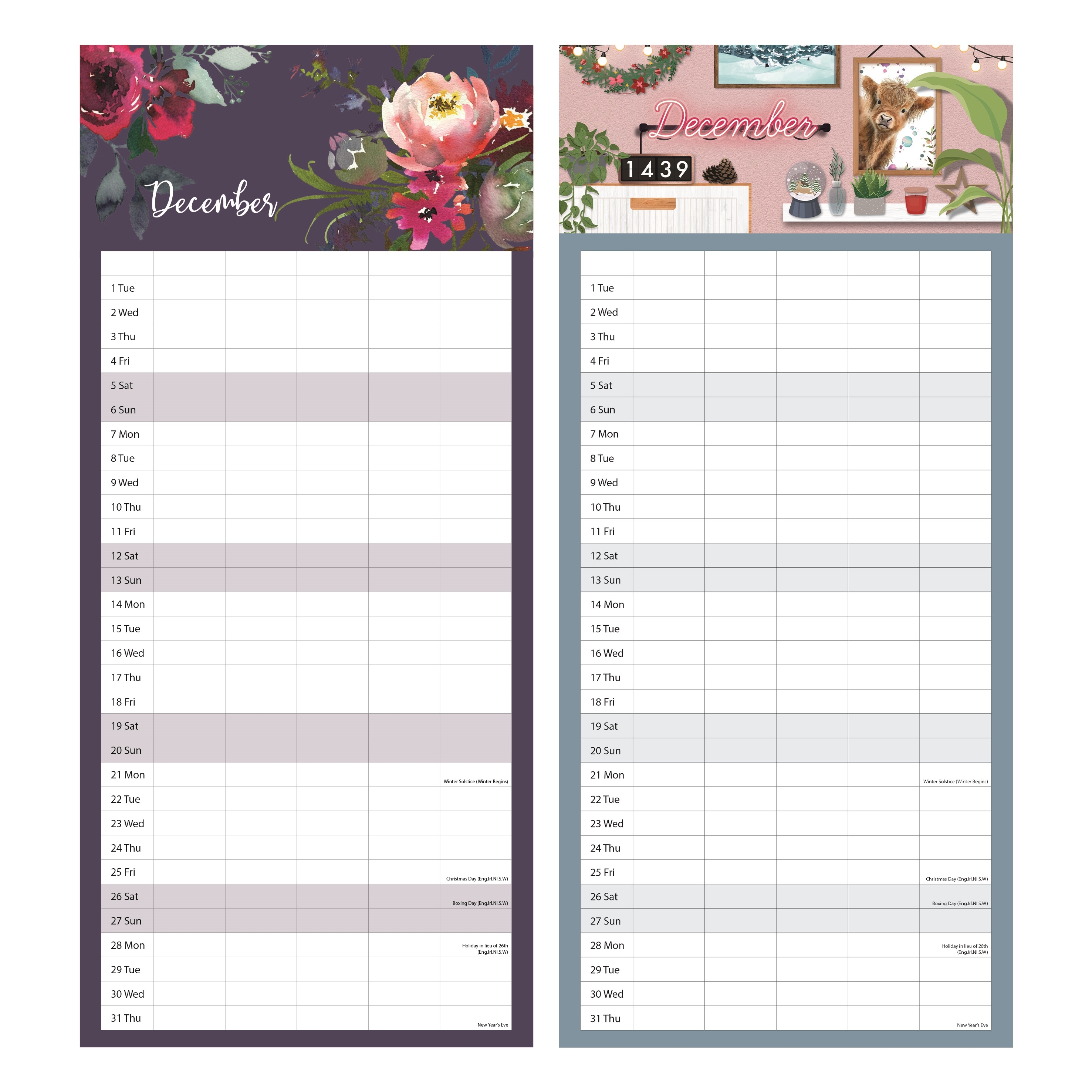 CALENDAR,Family Organiser Slim 5 Columns, 2 Asst. 2026 H/pk [Packs Only]