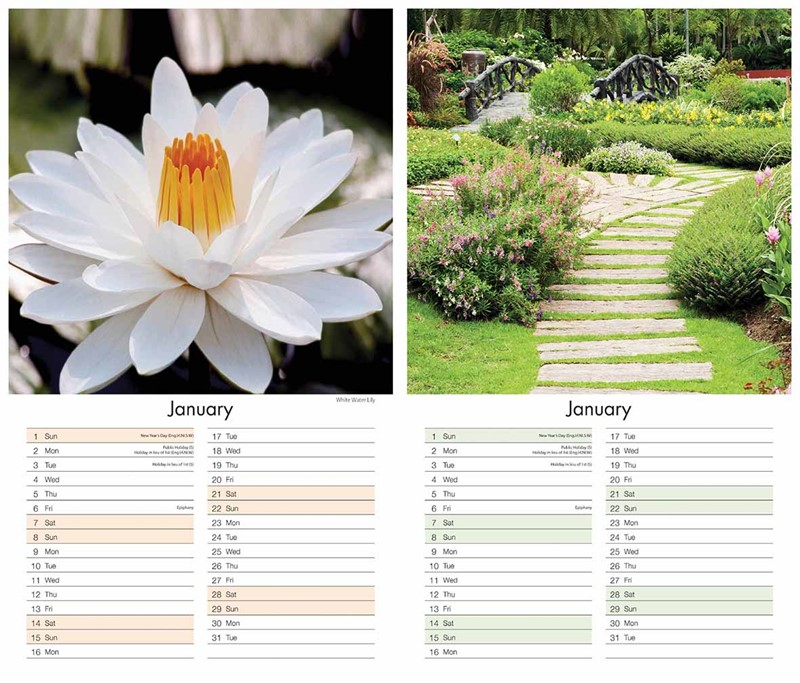 CALENDAR,Midi,Flowers & Gardens 2026 [Packs Only]