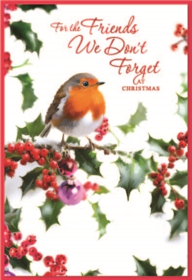 XMAS CARDS,Friends We Don`t Forget 6`s Robin & Holly