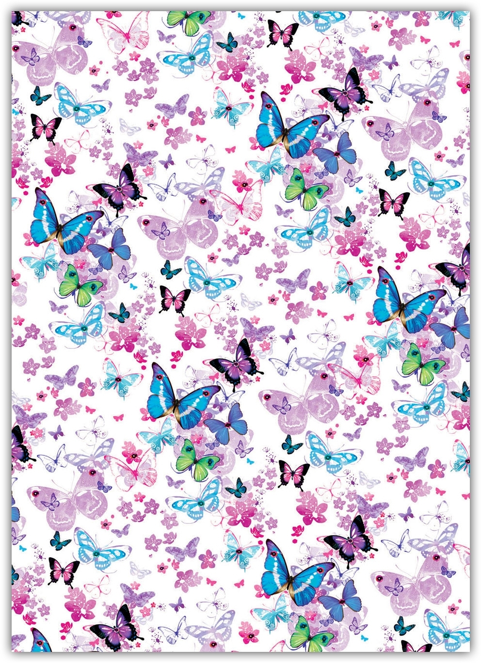 GIFT WRAP,Butterflies [Packs Only]