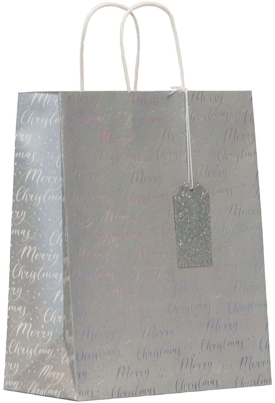 GIFT BAG,Shimmer (Large) (Was 1.79) [Packs Only]