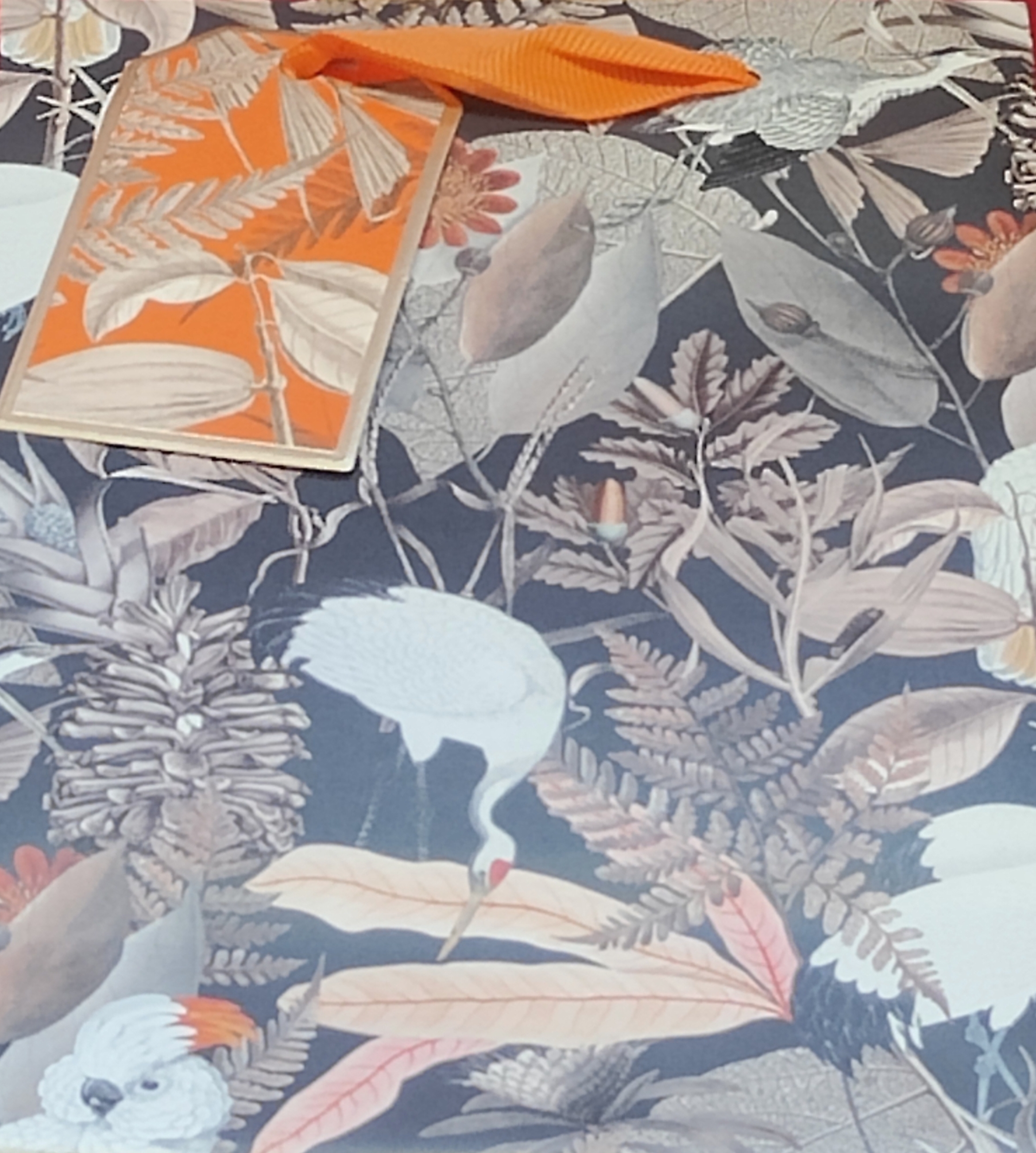 GIFT BAG,Aphrodite (Large) (Was 1.89) [Packs Only]