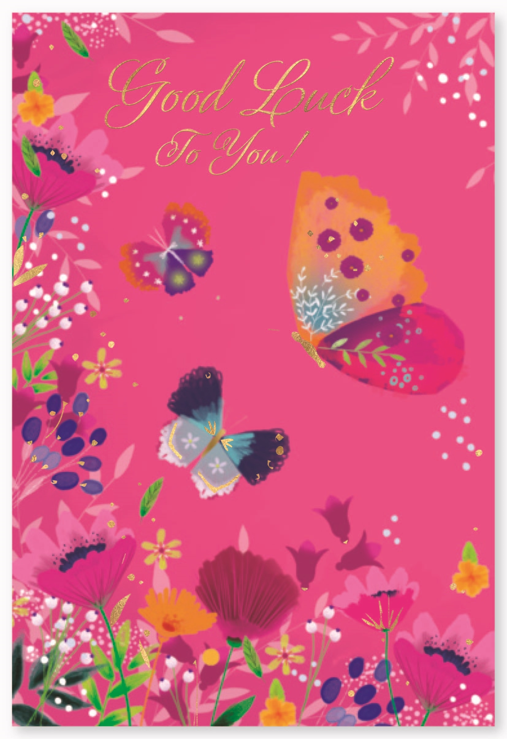 GOOD LUCK CARDS,6`s Butterflies & Flowers